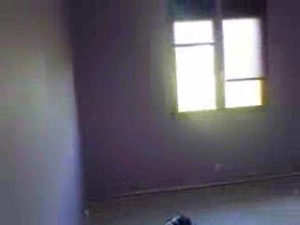 visite maison suite