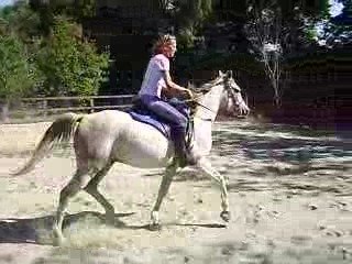 1er saut nihrcos