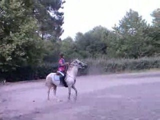 cross niccolo et mwa