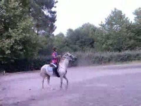 cross niccolo et mwa