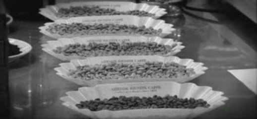 Di Bella Coffee - Coffee Appreciation