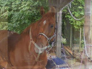 L'Histoire de Richesse et Laura