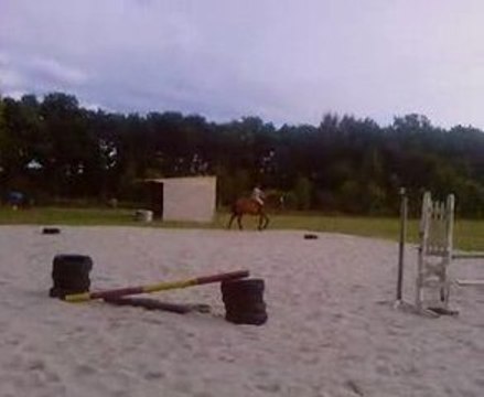 Ma mère sur malin de l'ouest (trotteur français) à cru