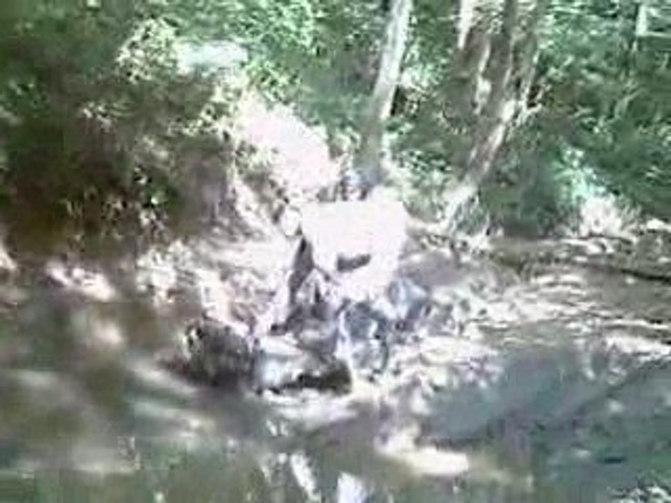 rando 29.8.2009