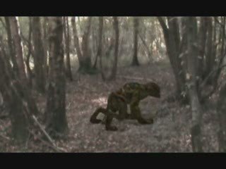 trailer2 max & max 3 PW