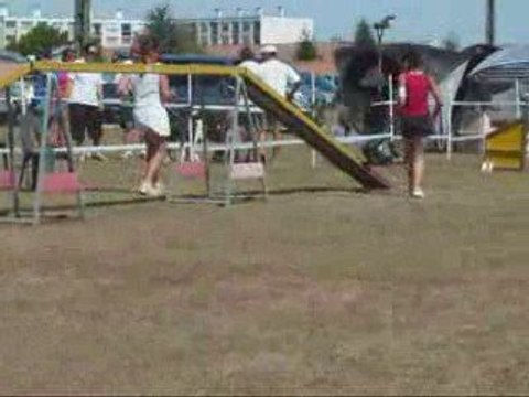 City 4eme Concours Agility 23 Mois