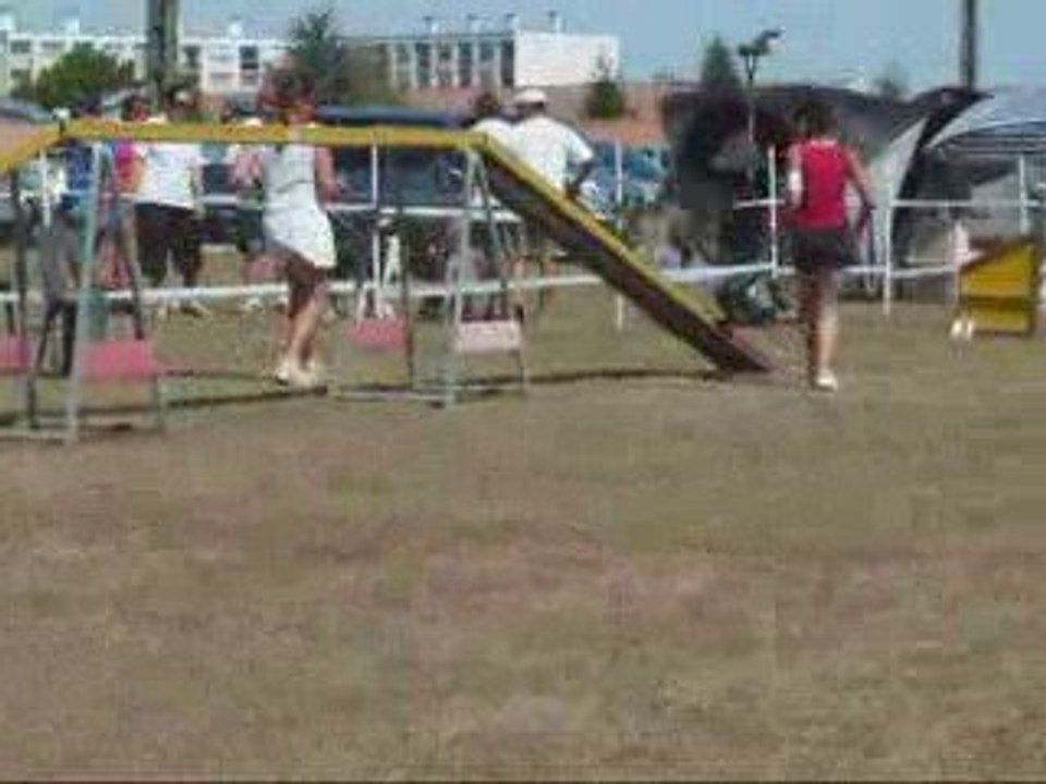 City 4eme Concours Agility 23 Mois