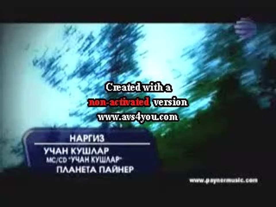 nargiz-ucan kuslar