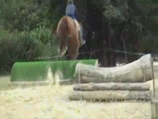 270709 cross 2eme groupe