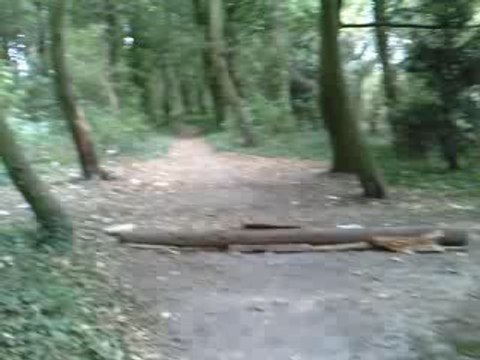 Jump dans le petit bois de Villers ;-D
