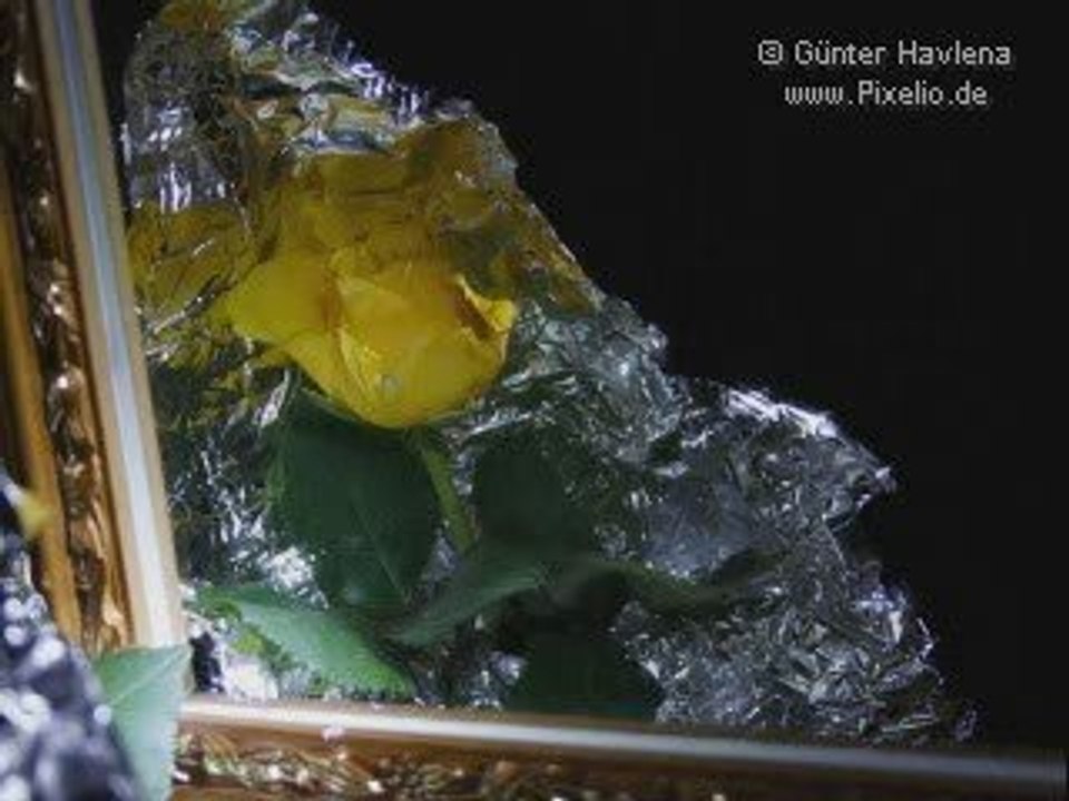 Tony Carey - World without you