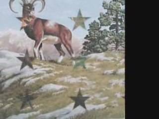 Wildlife Print. FREE. 12 Wildlife Prints