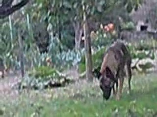 manger 5 fruits et légumes !!!!