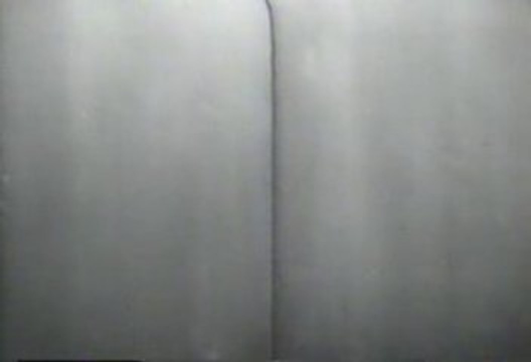 L' effet mouton. Caméra cachée / experience de l' ascenceur.