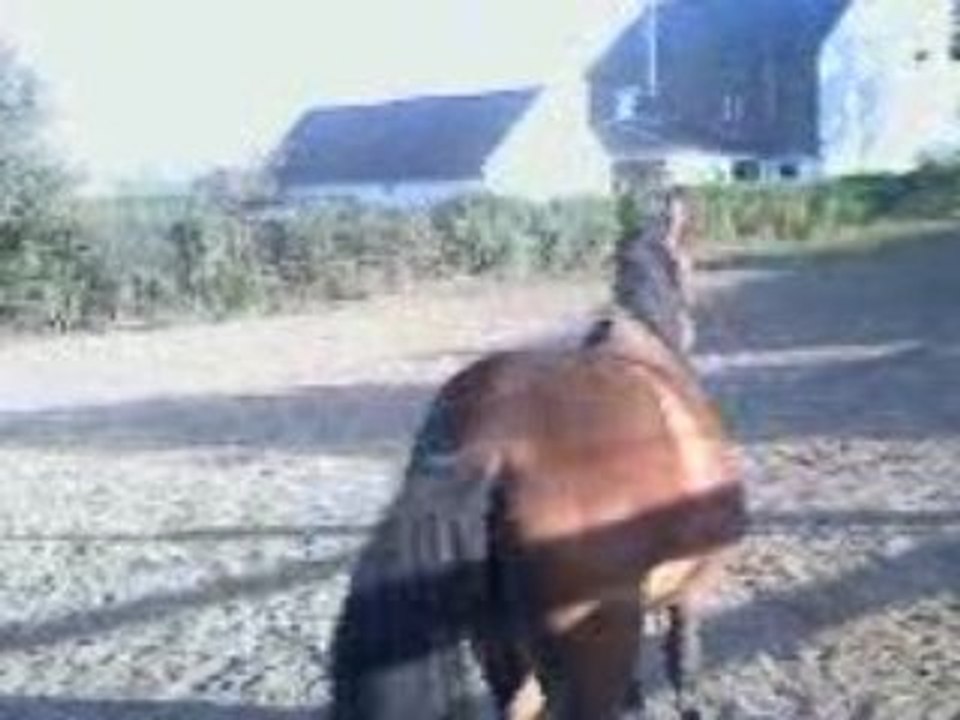 ma fifile qui de defoule