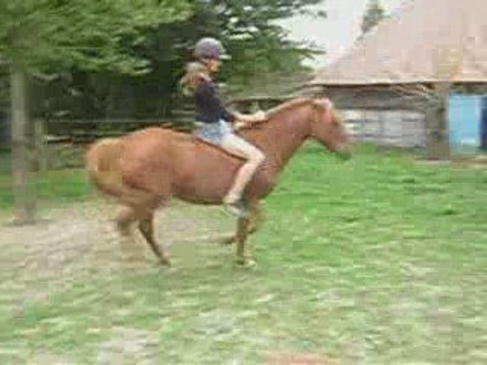 cheyenne libre