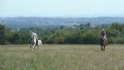 galop dans les pré