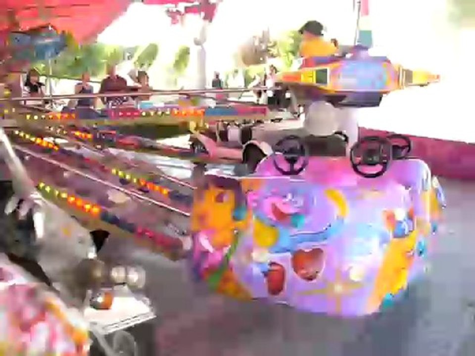 090830 Robin sur le manège