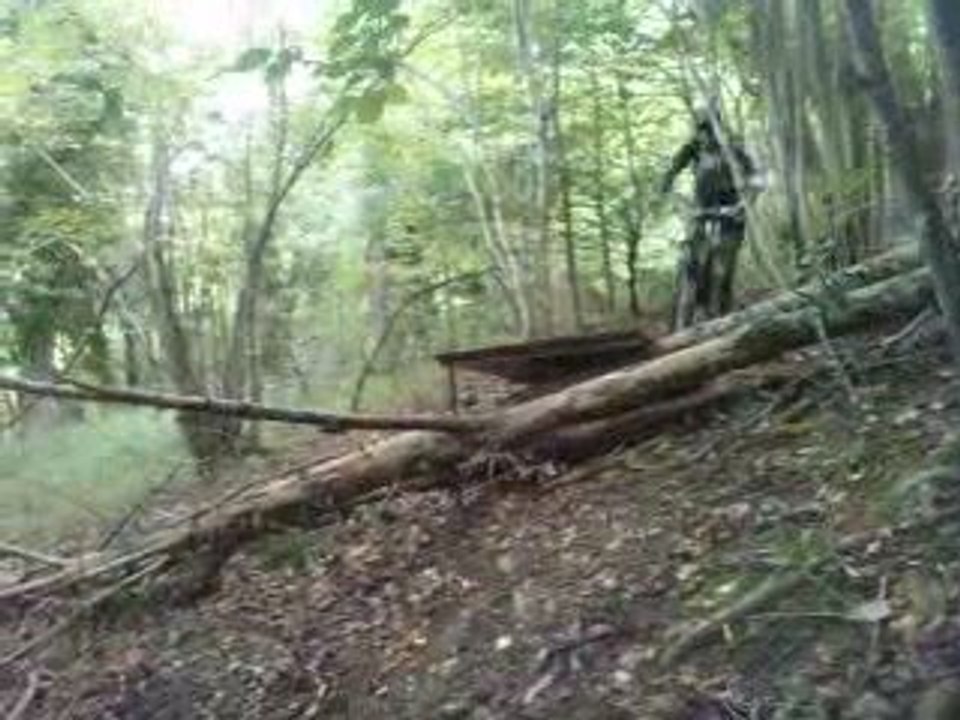 V290809_12.170001