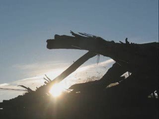 Una jornada en el campo