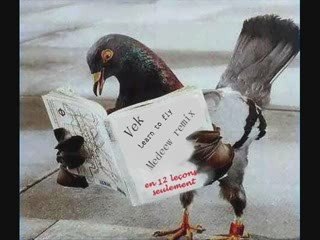 Vek - Learn To Fly (Medeew Remix)