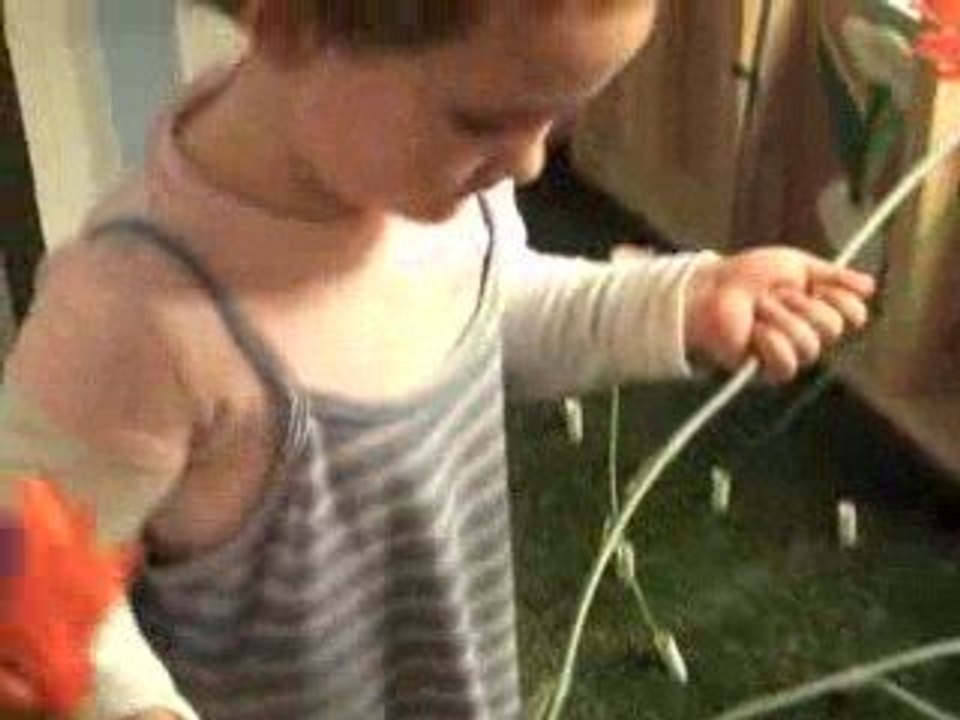 Flowers, Flowers, Flowers