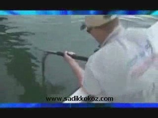 270 Kiloluk Olta Kıran Dev Balık (+++PAYLAŞIN+++)