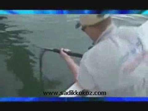 270 Kiloluk Olta Kıran Dev Balık (+++PAYLAŞIN+++)