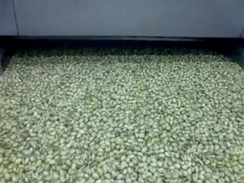 Pistaches Coques Grillées Salées d'Iran