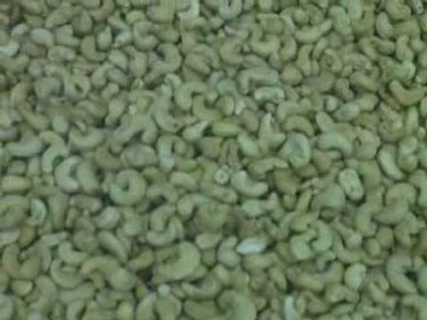 Noix de Cajou Grillées Salées du Bresil