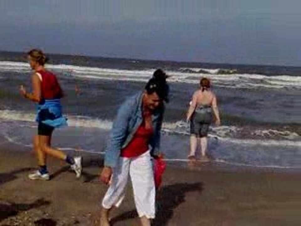 Meer
