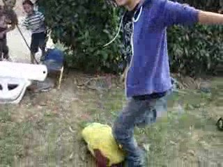 capturer un pokemon dans la banlieu