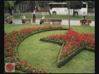 Yılmaz Morgül- Elveda İstanbul