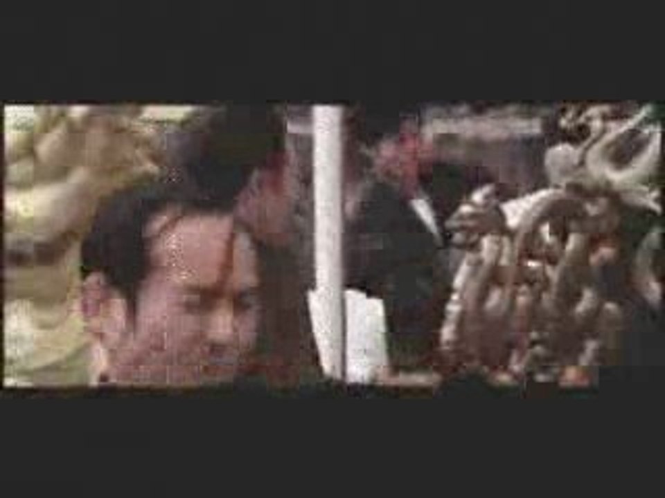 Bruce Lee Fighting Video