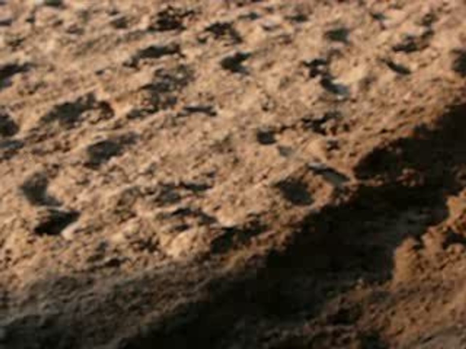 COURS EQUITATION 015