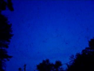 La danse  des mannes été 2006