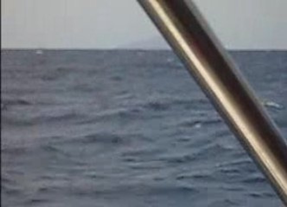 L'arrivée au Cap Bon en Tunisie