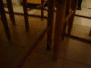 Violette nous amène son chaton.