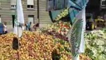 Manifestation des producteurs de fruits/légumes à Strasbourg