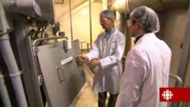 L'épicerie - Sachons laisser sécher le cheddar...