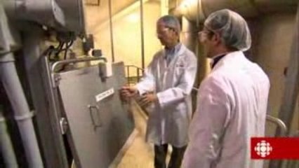 L'épicerie - Sachons laisser sécher le cheddar...