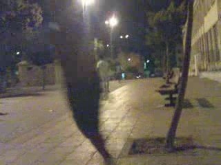 Crazy Summer Raman Koora