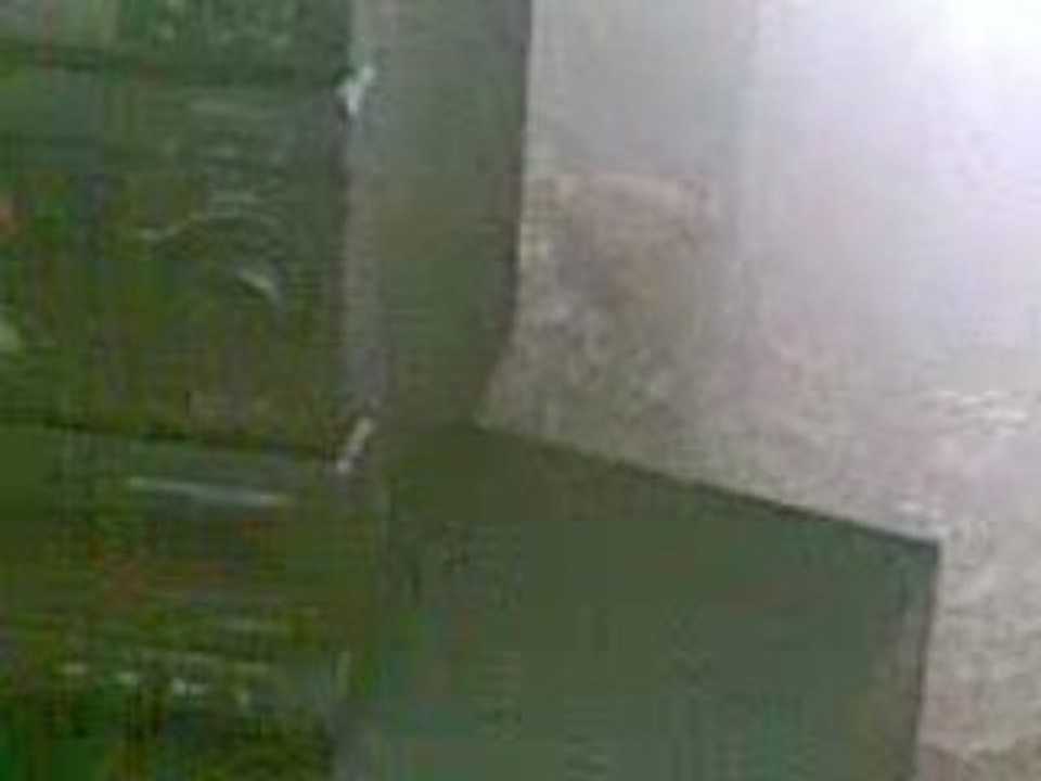 cheikh kaddour oueld saber