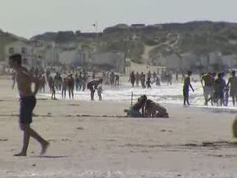 Ete 2009 : Bilan plutot positif