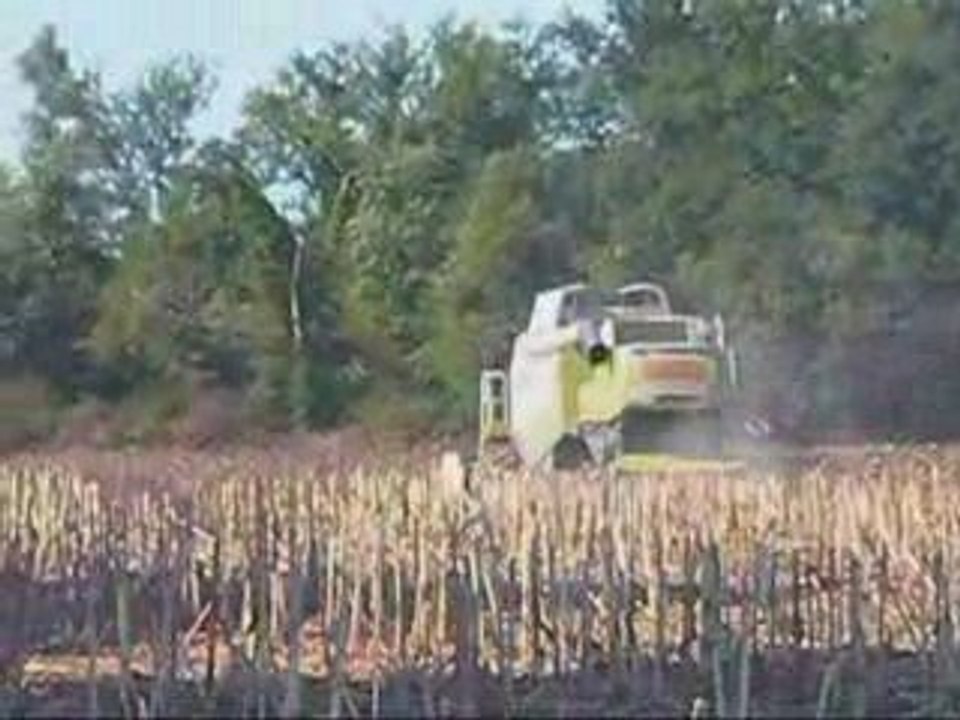 Moisson tournesol