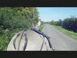 martin apache ballade 23/08/09
