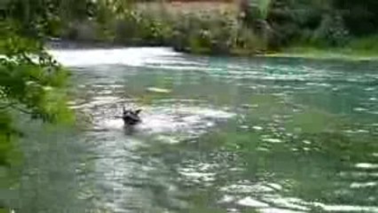 César se jette à l'eau 3