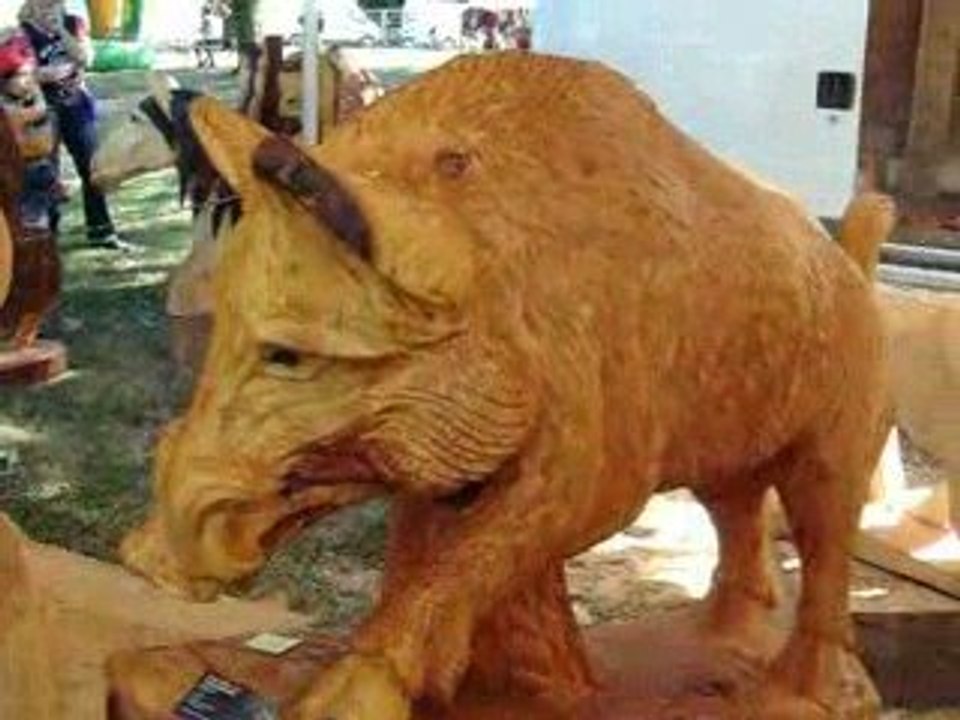 Bussy en Othe - Festival Country 2009 - Sculpture