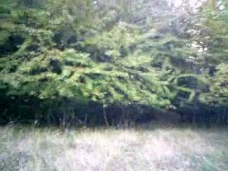 test flycamone2 en vtt (chemin du loup ''savoie'')