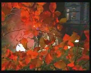 Hold Me For A While rednex